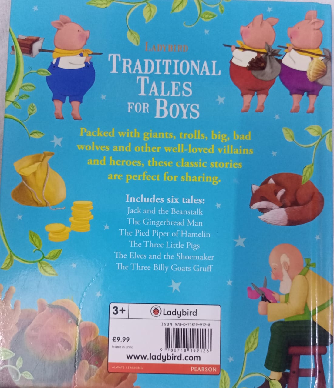 TRADITIONAL TALE FOR BOYS (LADY BIRD)